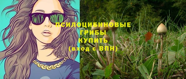 эйфоретик Мегион