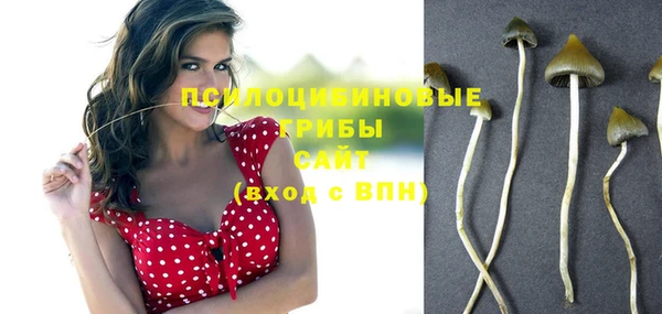 эйфоретик Мегион